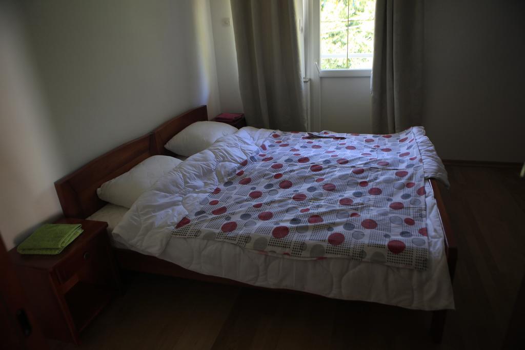 Apartment Mitric Plužine Ngoại thất bức ảnh